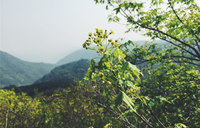 五一小假期 帝都近郊妙峰山一日“堵”