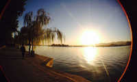 来自皇家园林的“高冷”范儿